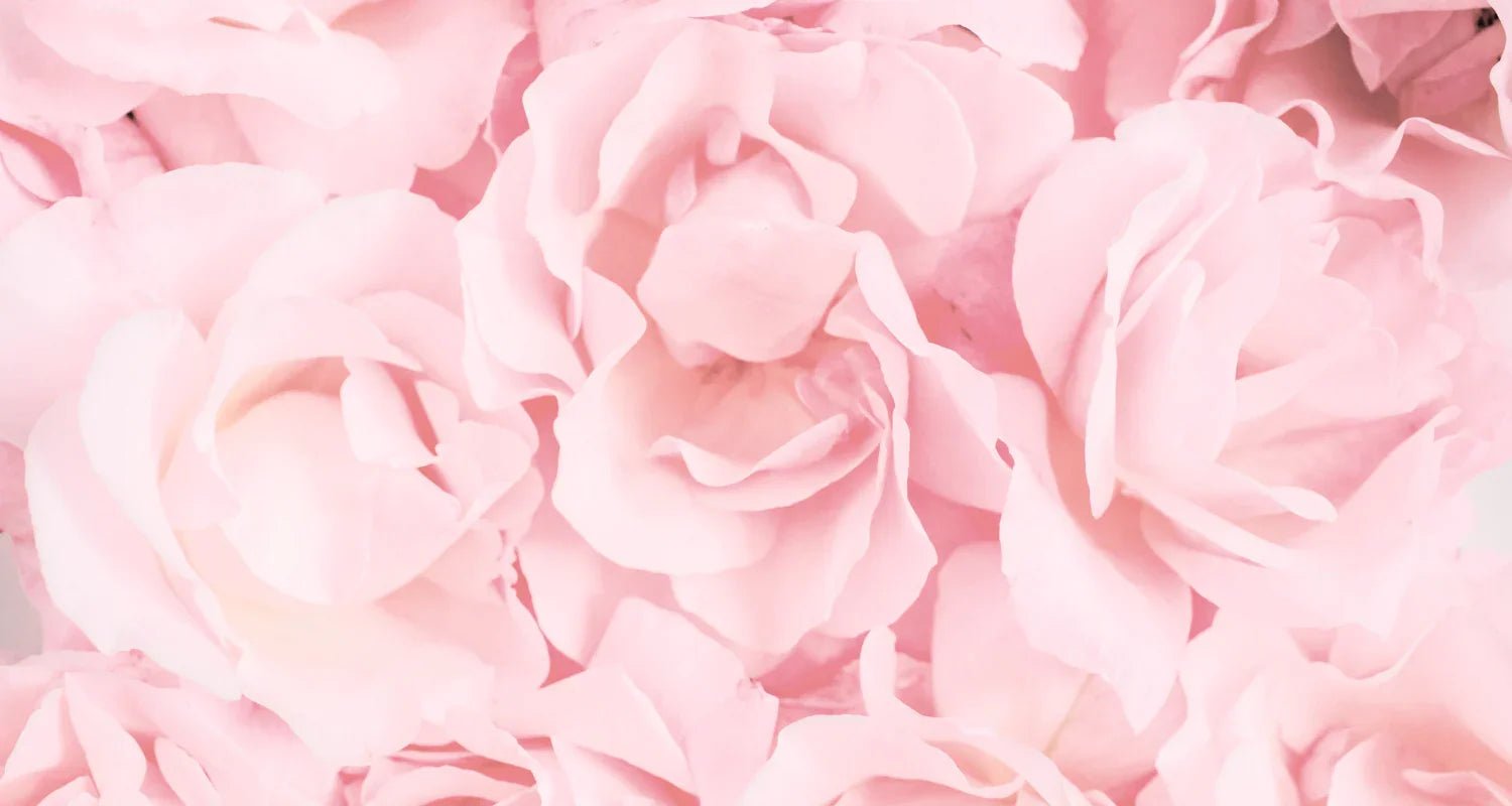 A New Chapter in Skin Alchemy - Skin Alchemy