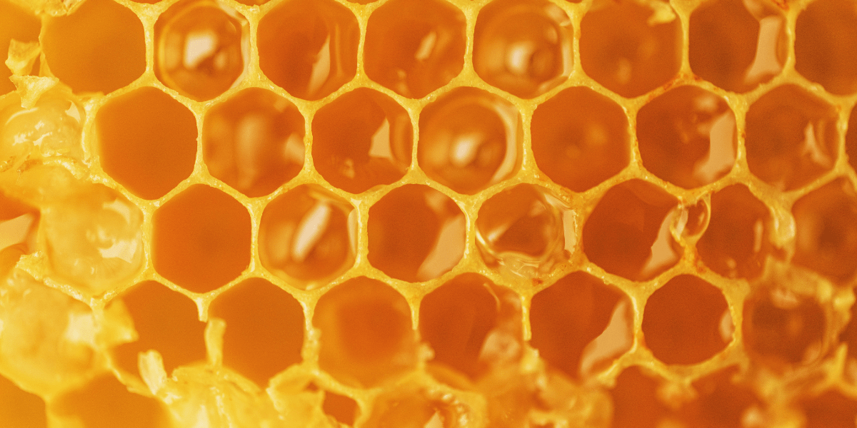 Skin Benefits of Honey: Nature's Miracle Ingredient - Skin Alchemy