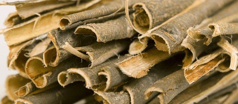 Skin Benefits of Willow Bark - Blue Haven Holistics