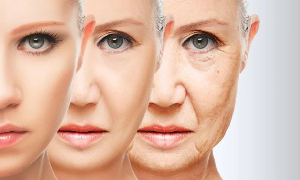 The Silent Attack of Free Radicals - Skin Alchemy