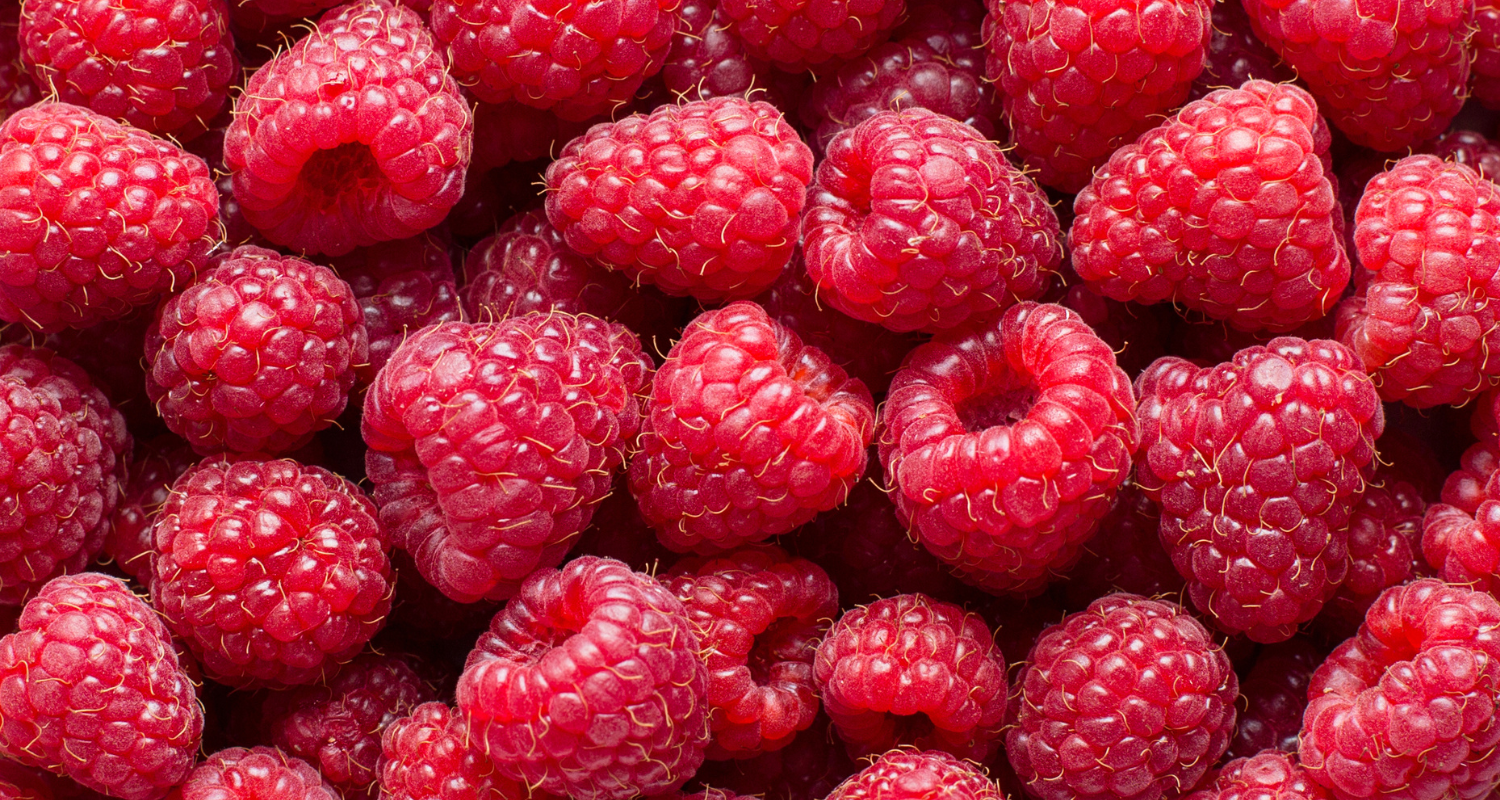 By-Ingredient Blue Haven Holistics
