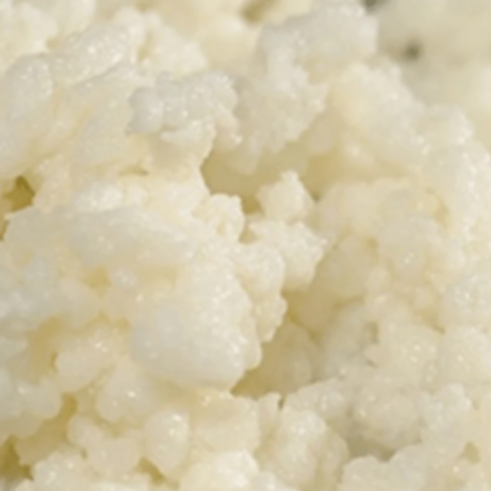 Close-up of white rice grains