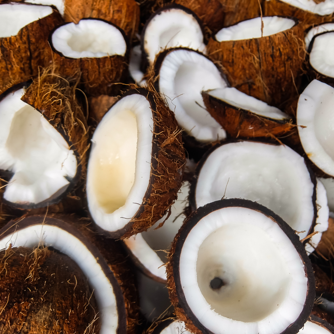 Close-up of coconut halves with a focus on texture and color.