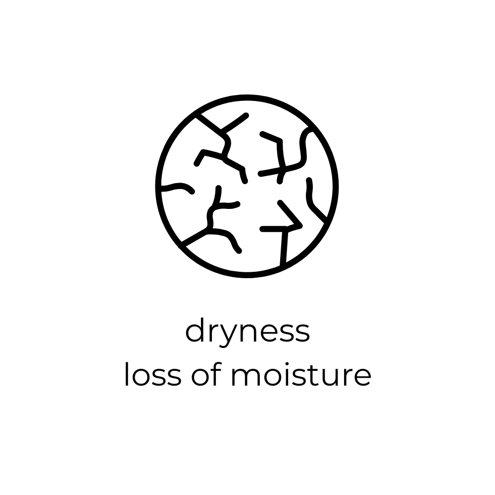 Icon of dry skin with text 'dryness loss of moisture' on a white background
