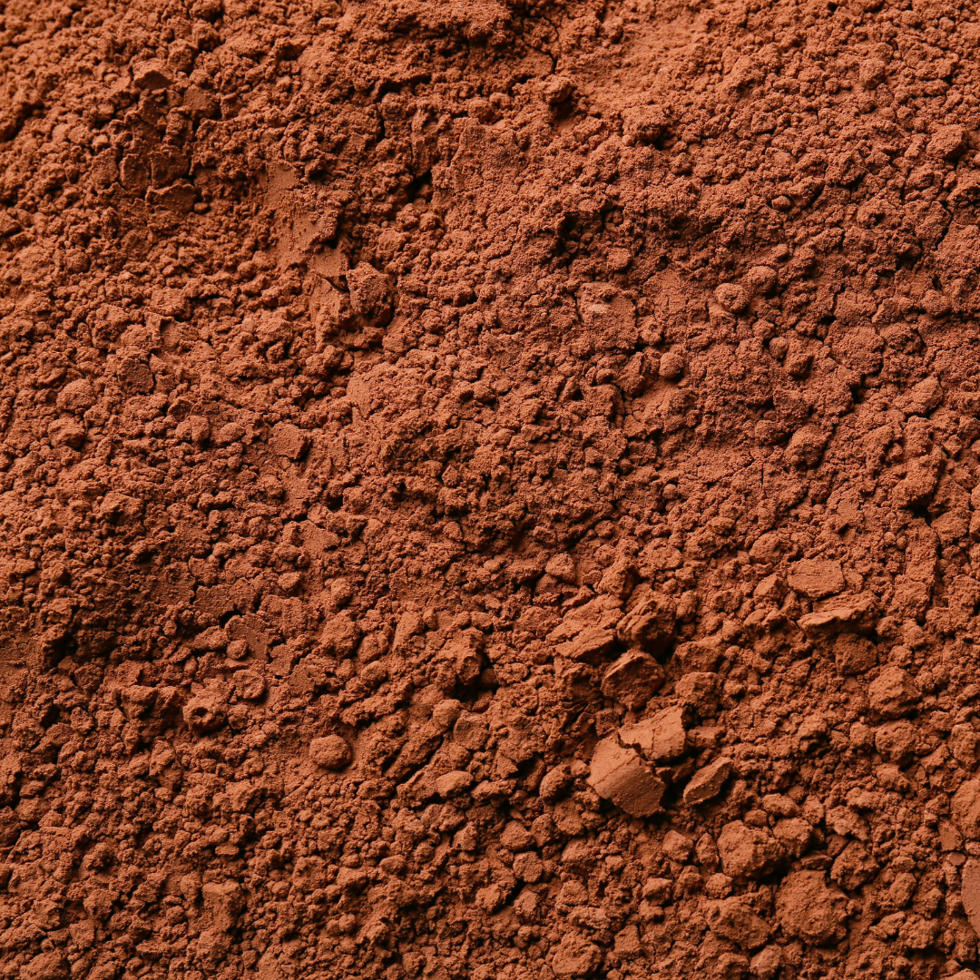 Close-up of cocoa powder