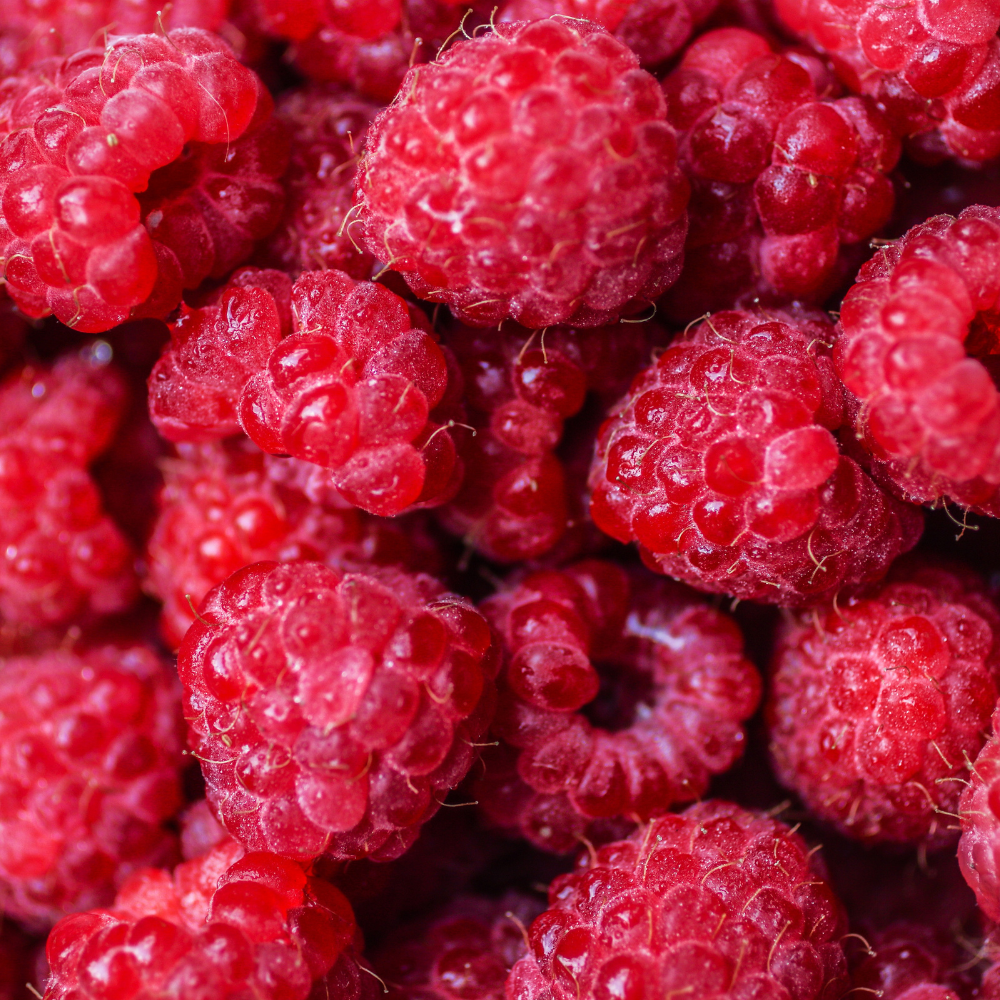 Close-up of fresh red raspberries