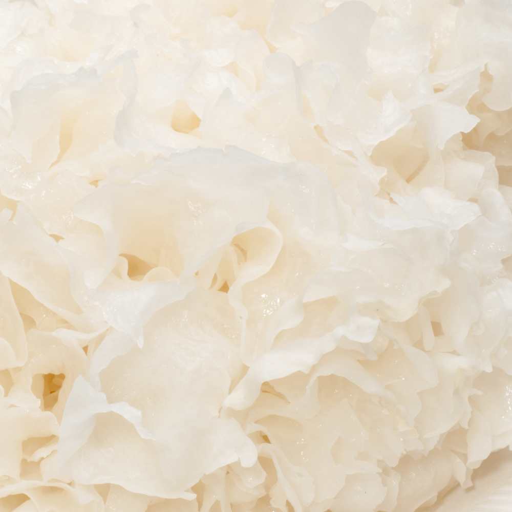 close up of tremella mushroom